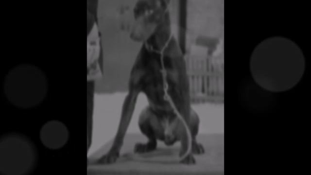 Не бросай меня  ч 3