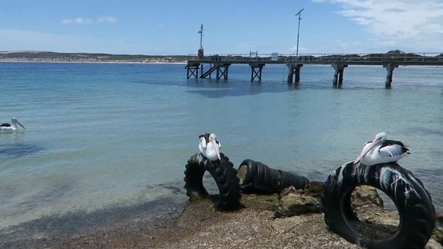 KANGAROO ISLAND (PART 1) | SOUTH AUSTRALIA смотреть онлайн