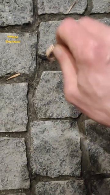 Мухи отдельно Котлеты отдельно,разделочка Золотко🌟 смотреть онлайн