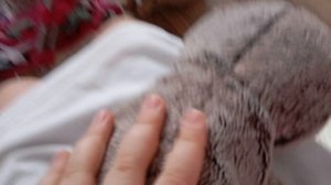 обеденный влог с басикоми/ Викины босята