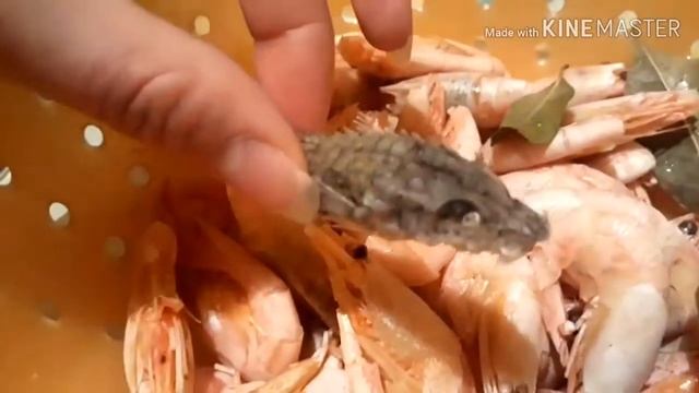 Это невероятно. Мы поймали дракона. Странная находка смотреть онлайн