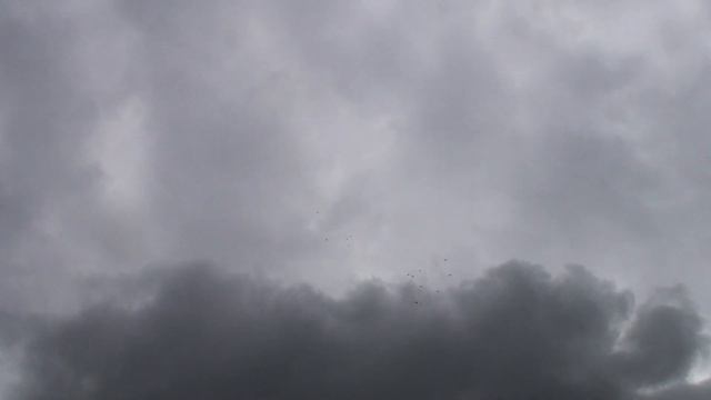 как бы николаевские голуби 05.09.2021 ч.1 смотреть онлайн