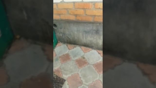 7 июня 2023 г. смотреть онлайн