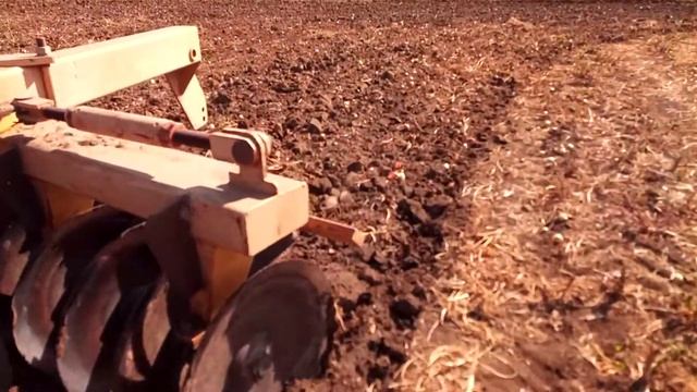 Дисковка после уборки лука смотреть онлайн