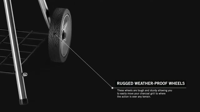 Угольный гриль NAPOLEON RODEO PRO