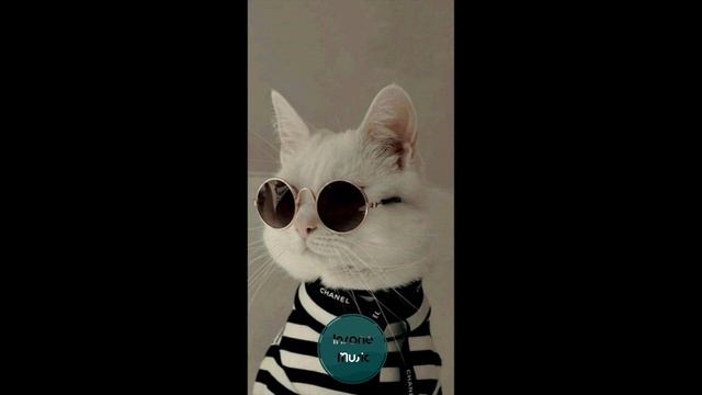 Nonik - Hotam (Insane Music)