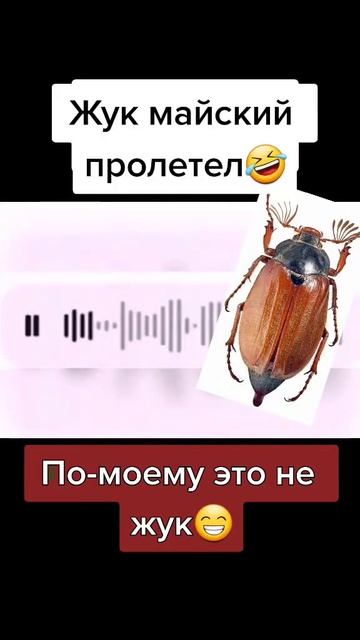 13 июня 2023 г. смотреть онлайн