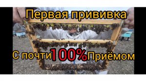 Первая прививка в 2023 С чудесным приёмом ,превзошла наши ожидания! 3 вида воспиталок.