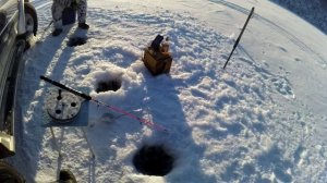 Новый сериал. Зимняя рыбалка на омуля 10.03.2025. Фильм 2. Утро началось. Продолжение следует...