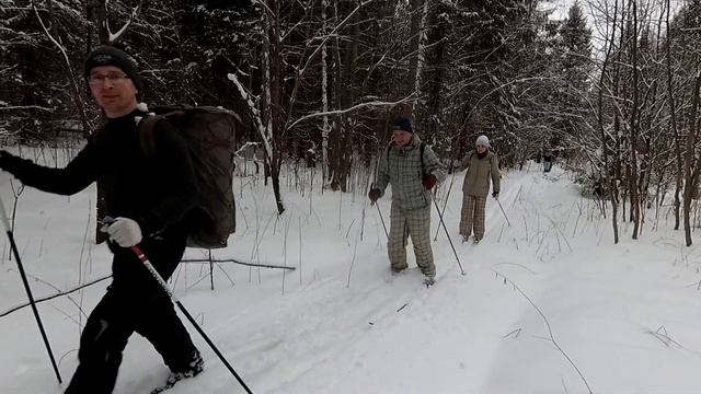 2.02.2020. Лыжная прогулка от ст. Домовицы до ст. Ермолино смотреть онлайн