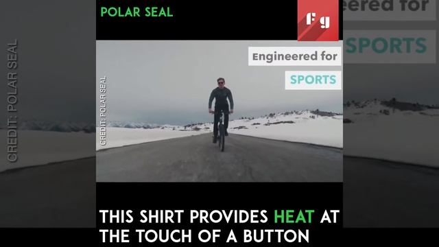 Polar Seal Heated Sweater смотреть онлайн