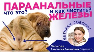 Что такое параанальные железы у собак？Чистка параанальных желез