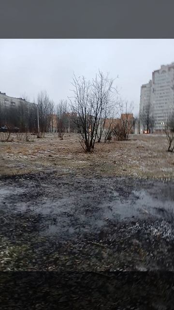 1000000664.mp4 смотреть онлайн