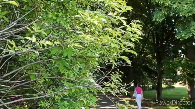 Посещение ботанического сада после жёсткого карантина смотреть онлайн