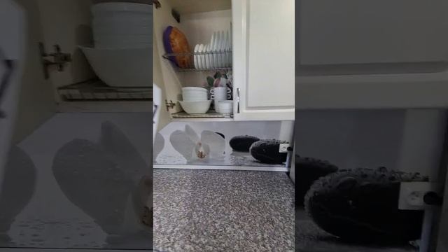 Льва Толстого 45 смотреть онлайн