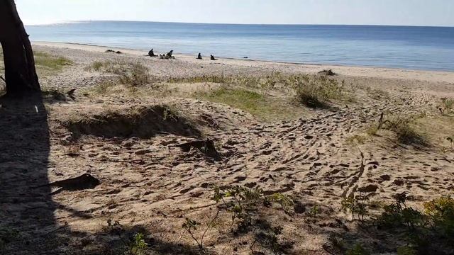 Дорога к морю смотреть онлайн