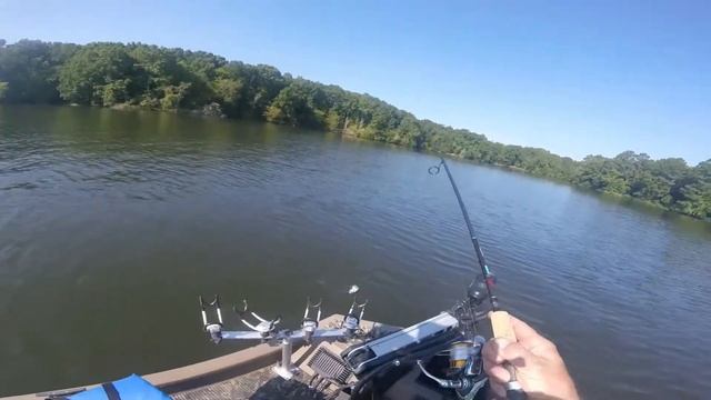 July 29/2022 Playing with Garmin live scope смотреть онлайн