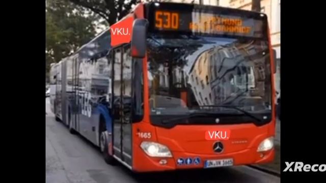 X Recorder Mercedes-Benz Citaro Conecto Capacity Blackpink Chun-Li Sakura Man Lion's City смотреть онлайн