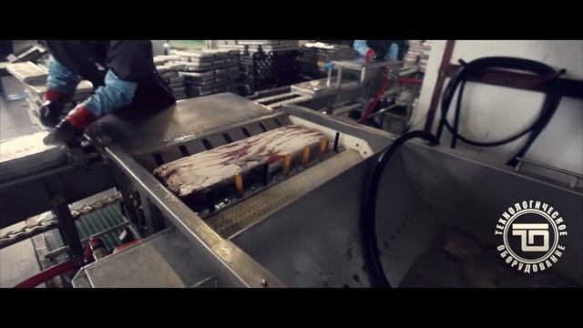 глазуровка   ленточная