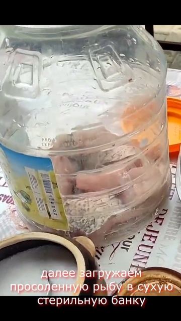 Как солить рыбу правильно. Сухой посол