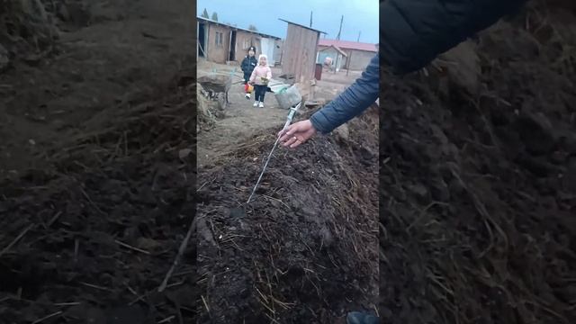 Орал Вермифермелер Шлаушын Колифорнические черви, биореактор Эм эко +77071831250 ватцап смотреть онлайн