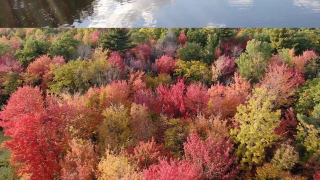 My Beautiful Home State 2019 смотреть онлайн