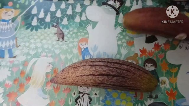 Melon pepino. Дынный огурец. Или Огуречная дыня? Экзотический фрукт из Колумбии смотреть онлайн