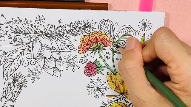 Mein Herbst Spaziergang /Mein Winter Spaziergang by Rita Berman . Let's colour. Adult colouring. смотреть онлайн