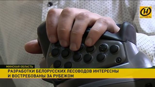 Разработки белорусских лесоводов востребованы за рубежом смотреть онлайн