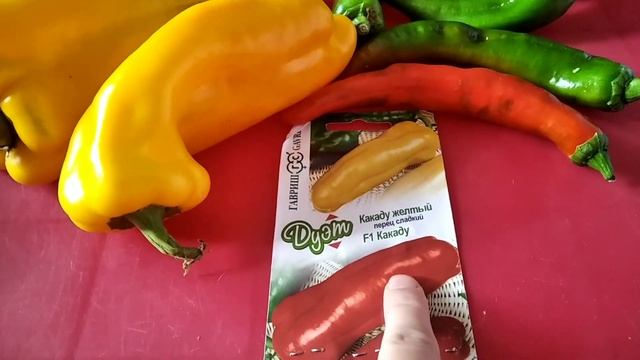 Перец,мои фавориты этого года.