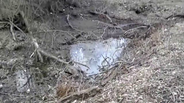 беспредел и экологическая катастрофа в Петровском Парке Ельца смотреть онлайн