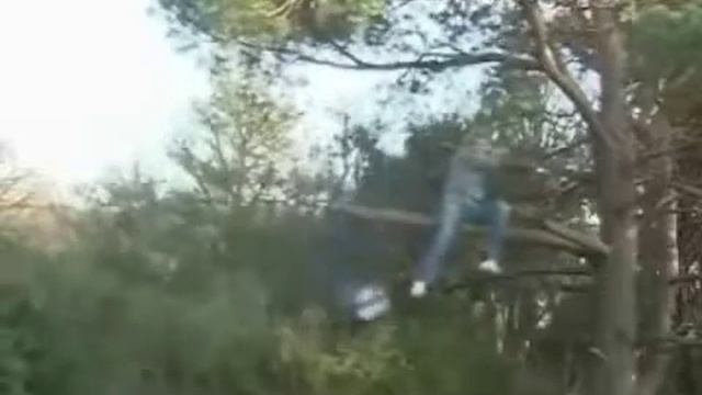 Как надо пилять деревья