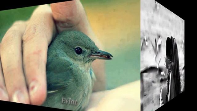 Neues Projekt смотреть онлайн