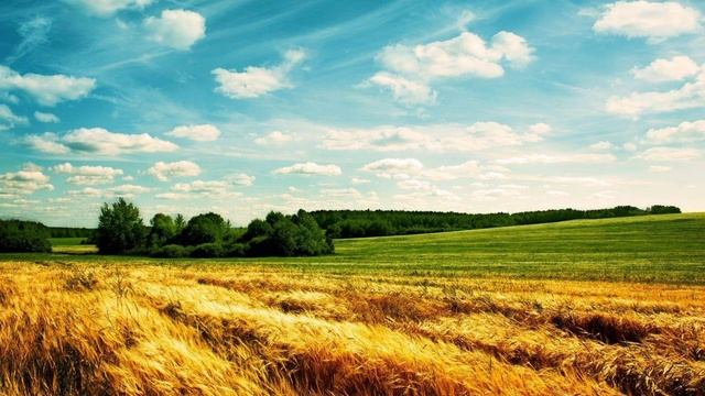 Чи ти готовий іти туди куди Я буду тебе посилати? Україна, Рівне. 07.04.2024 смотреть онлайн