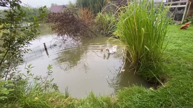 Выходные пролетели в работе👍 смотреть онлайн