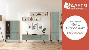 Гостиная «Вега Саксония»