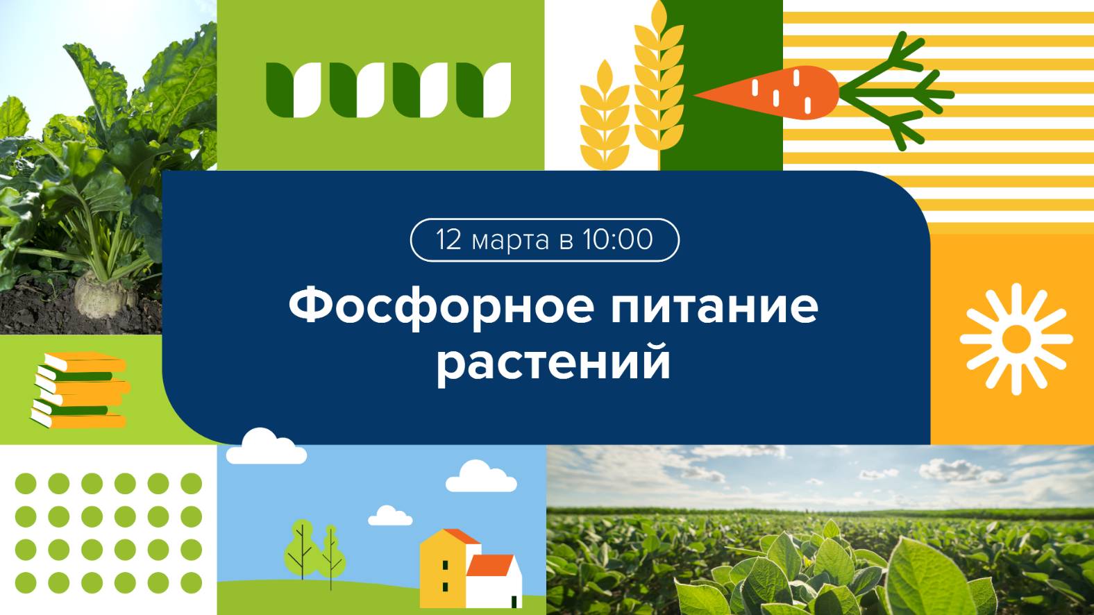 Вебинар "Фосфорное питание растений: вызовы и современные решения" смотреть онлайн