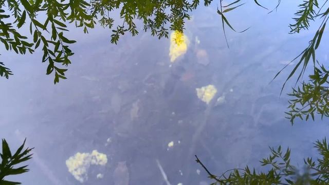 Сказочный ручей...19.