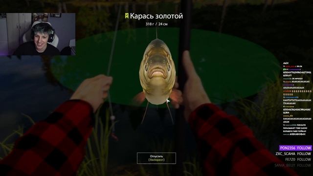 МАЗЕЛЛОВ НОВЫЙ МЕМ, ЗАМЕНА БАРХАТНЫХ ТЯГ