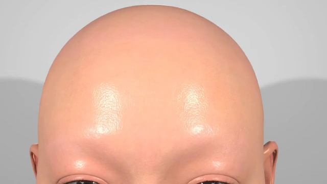 A Blender Render смотреть онлайн