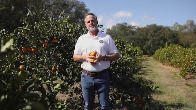 The State of Citrus Greening with Ben McLean смотреть онлайн
