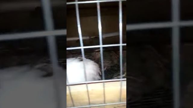 13 марта 2023 г.