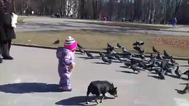 Дочка первый раз сама ходит на улице. смотреть онлайн