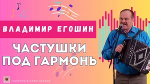 Частушки под гармонь Егошин Владимир | Народные частушки #народныепесни