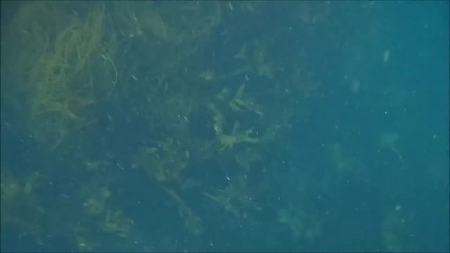 Chasse sous-marine au Croisic première mise à l'eau. смотреть онлайн