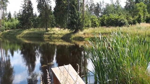 Zbiorniki retencyjne w Zaskalu смотреть онлайн