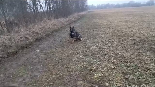 отец и сын.Жан и Ветер. Выдержка. смотреть онлайн