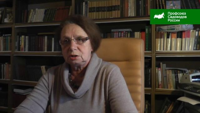 Ёжик победил чиновников. смотреть онлайн