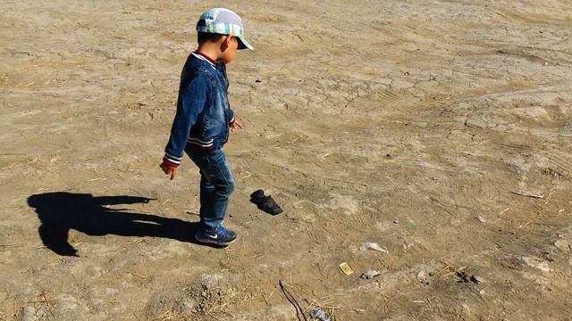 Атырау Мал Базары / Ослик Памятник / Два Щенка. смотреть онлайн