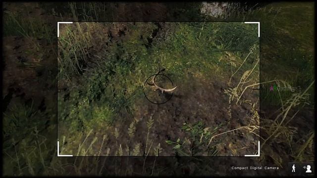 🔴The Hunter Classic Gameplay🔴◀️The Hunt n The Collectibles 2🐇🐏🐂 ▶️🔴 смотреть онлайн